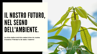 Mettere radici insieme, per un futuro sempre in movimento